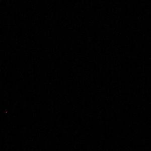 Meet your Posher, Brook